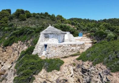 Les bienfaits de la nature sur la santé mentale