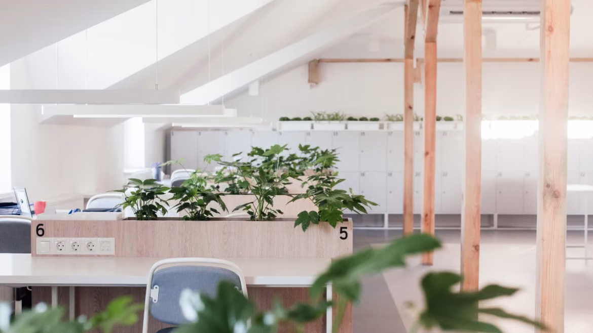 Créer un espace de travail apaisant : 7 principes
