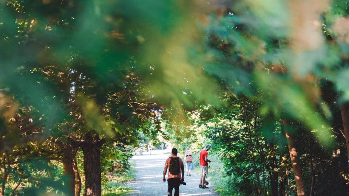 Santé mentale et nature : comment la verdure guérit