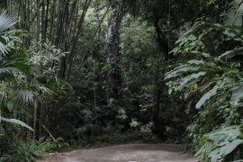 Écotourisme 2024 : 5 tendances qui transforment les voyages