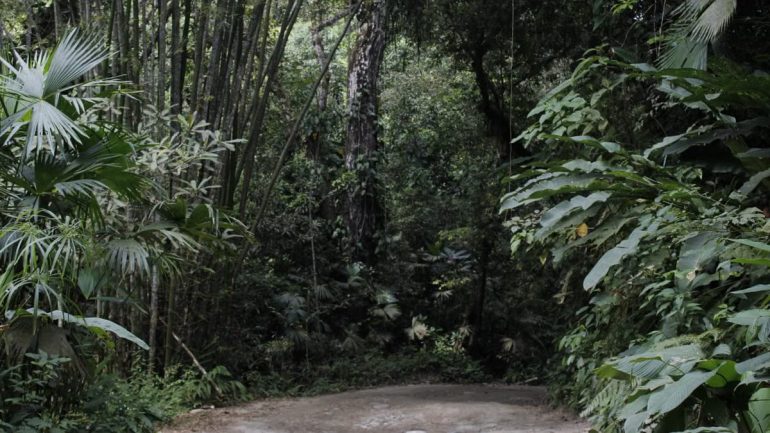 Écotourisme 2024 : 5 tendances qui transforment les voyages